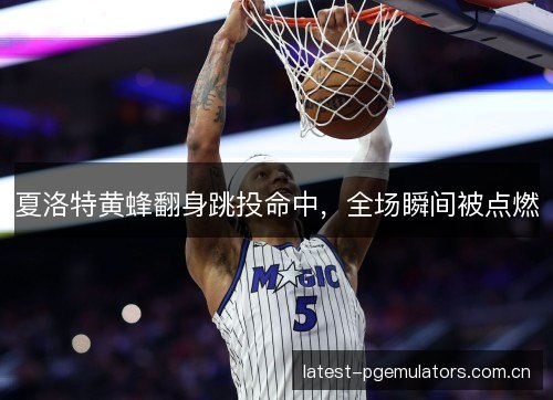 夏洛特黄蜂翻身跳投命中，全场瞬间被点燃